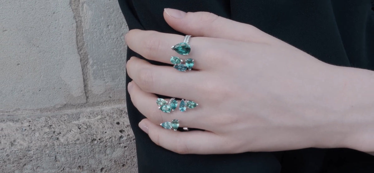 REPOSSI
